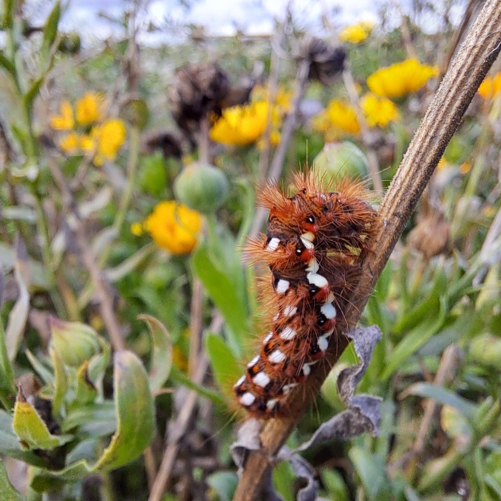 Février 2026, IL EST TEMPS DE S&rsquo;y&nbsp;mettre